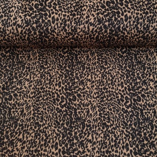 Leopar Ashton