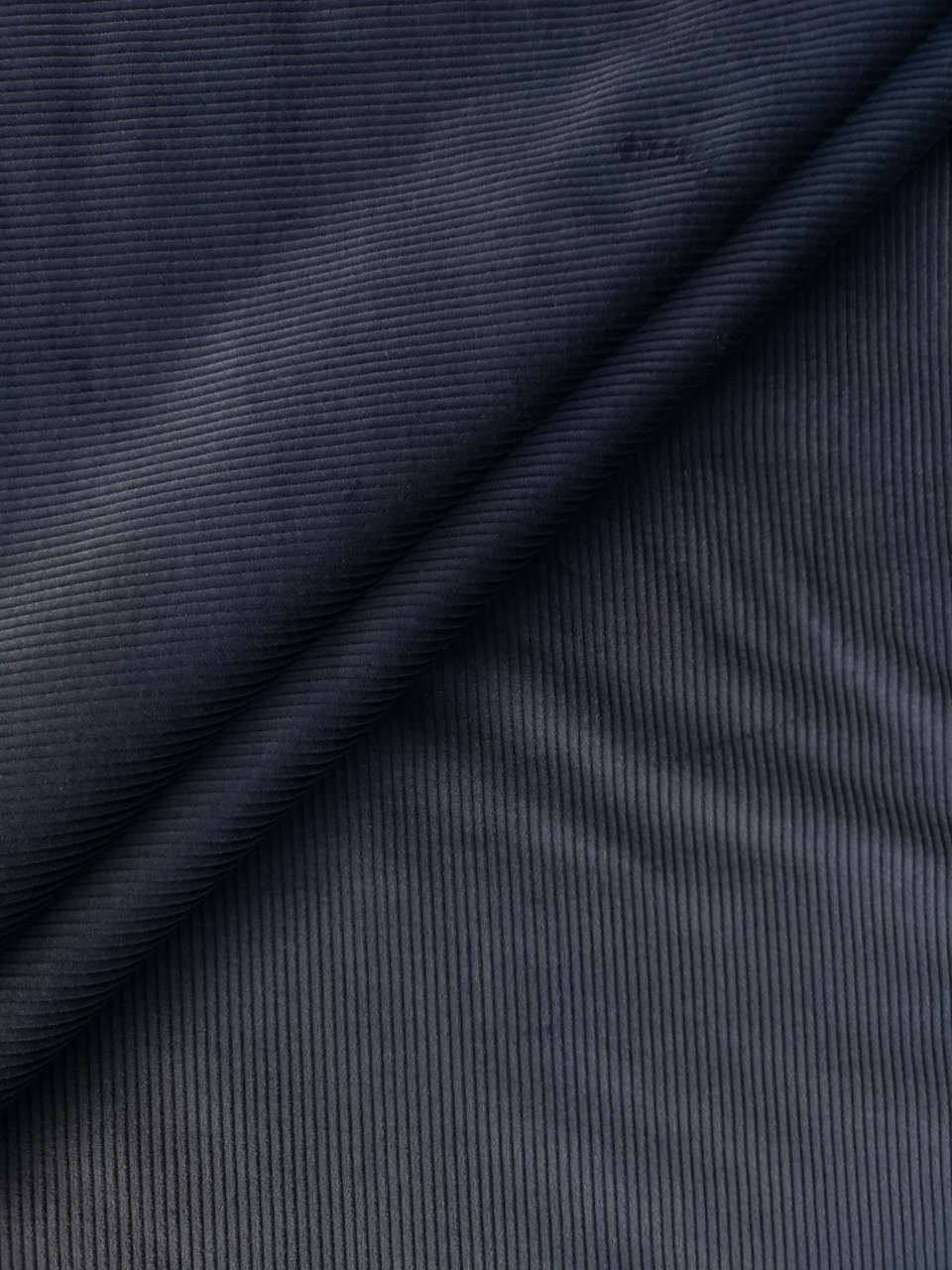 Gri Fitilli Fransız Kadifesi