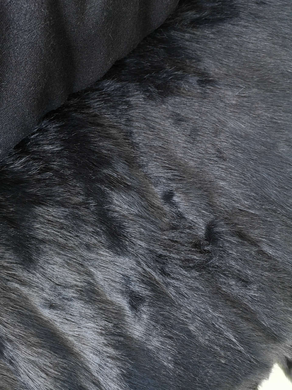 Siyah Tilki Peluş