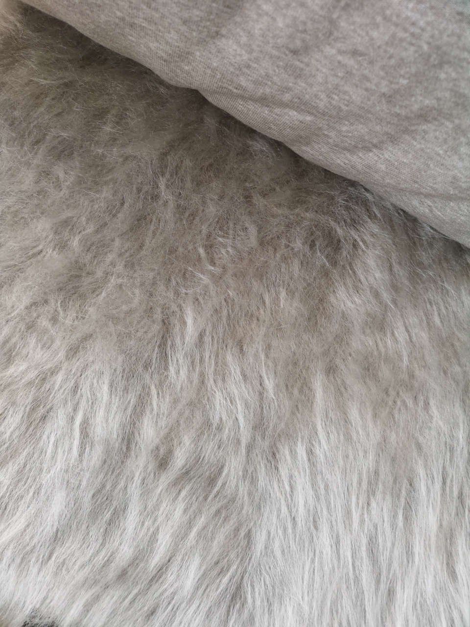 Vizon Peluş
