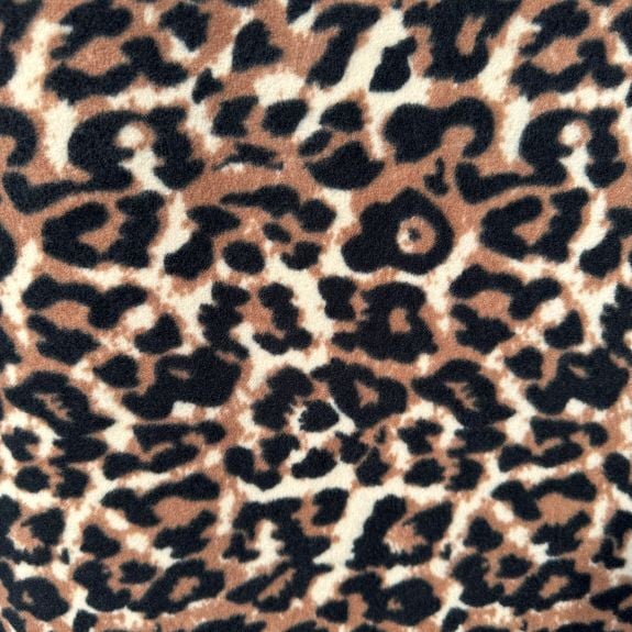 African LeoparDesenli Polar